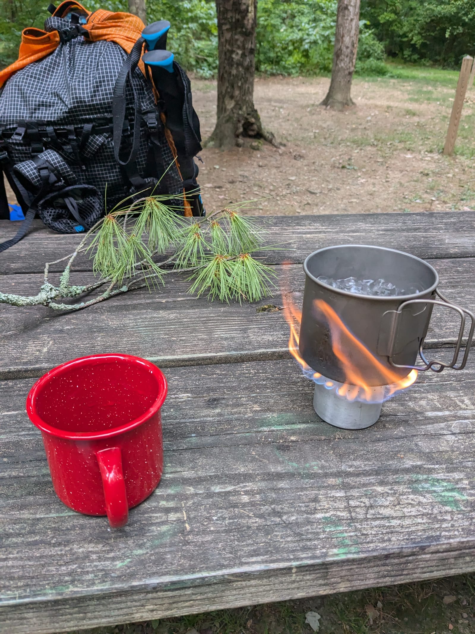 Morning Coffee